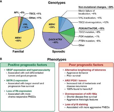 Molecular Signatures and Their Clinical Utility in Pancreatic Neuroendocrine Tumors